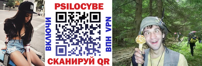 где купить наркоту  Камышлов  Галлюциногенные грибы прущие грибы 