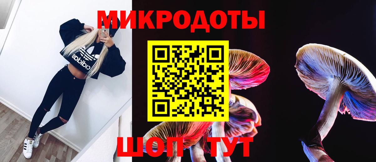 Псилоцибиновые грибы Cubensis Камышлов