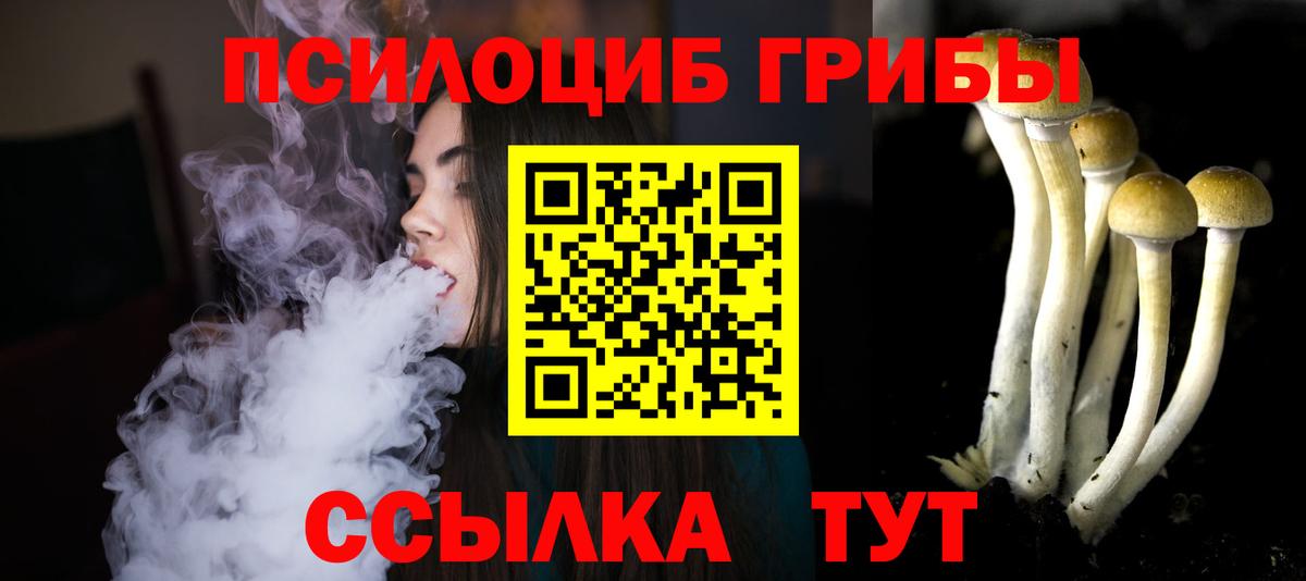 Псилоцибиновые грибы Magic Shrooms  Псилоцибиновые грибы Magic Shrooms  Вход с VPN  Камышлов 