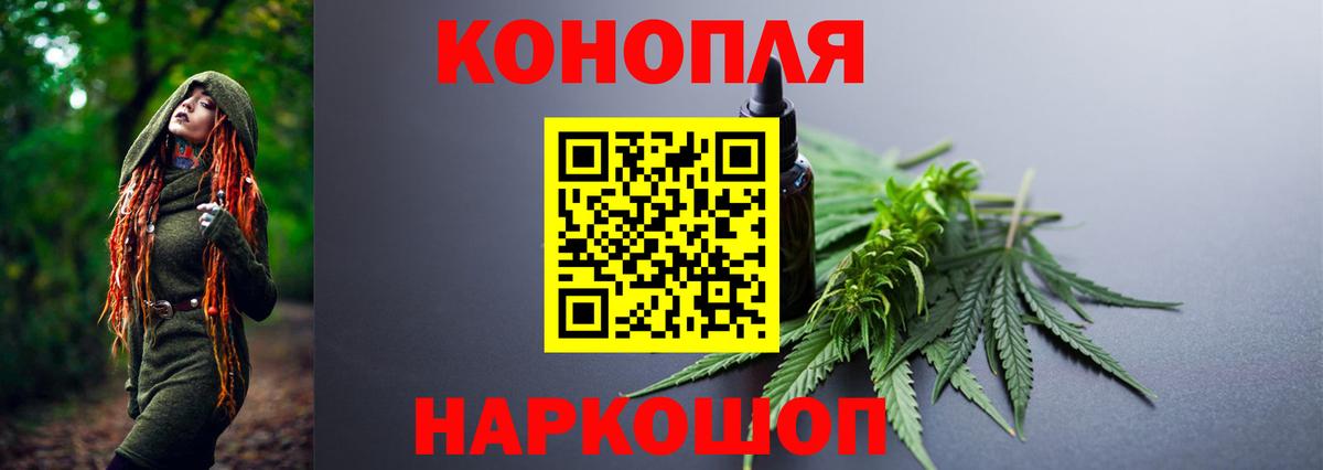 МАРИХУАНА планчик Камышлов